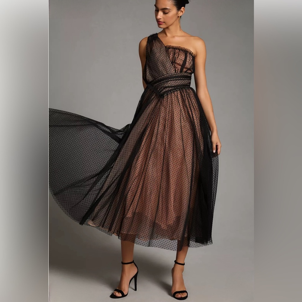Anthropologie Tulle Dot Maxi Dress